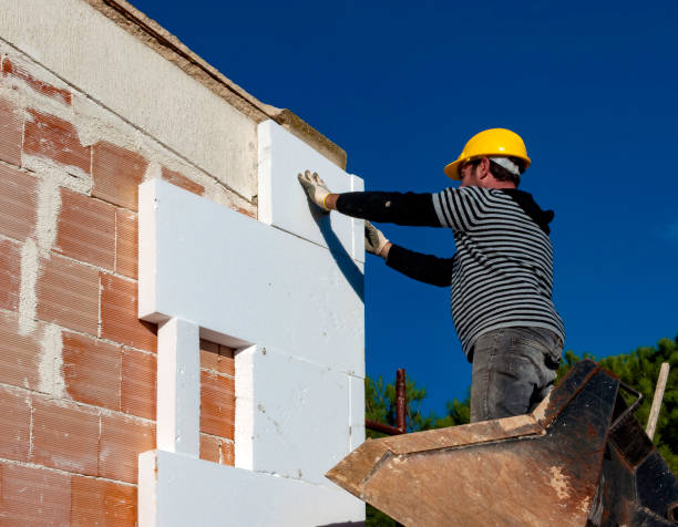 Best Cellulose Insulation in Candlewick Lake, IL