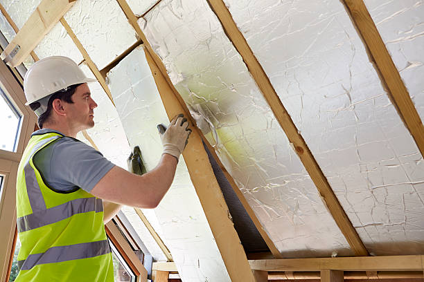 Best Geographic-Specific Insulation Services in Candlewick Lake, IL